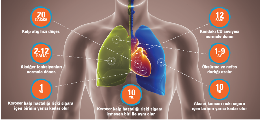 sağlık riskleri sigara koroner kalp hastalığı